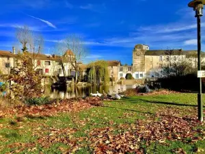 Studio Atypique au cœur d'un Village Charmant