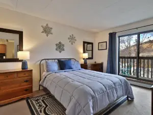 Ski on/Off Access and Stunning Views - Charming Mountain Retreat