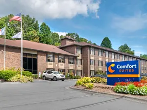 Comfort Suites Boone - University Area
