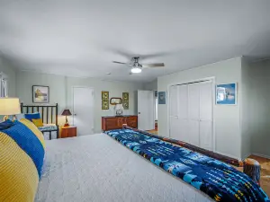 Talking Leaves Cottage | Scenic Highway on the Brow | Fast Wi-Fi | Dog Friendly