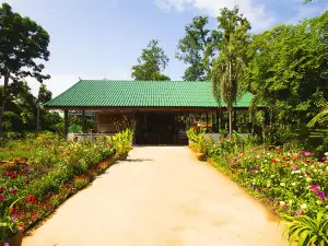 The Country Lake Nature Lodge Hotel