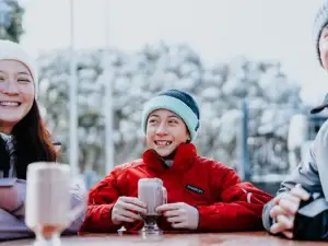 Altitude Apartment 1