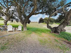 Private On Vineyard W/ Loft & Hill Views 2 Bedroom Cottage