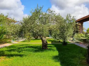 CuccuruAio' B&B