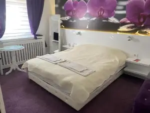 Vladana Deluxe App 2