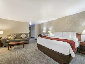 SureStay Plus Hotel by Best Western Buffalo