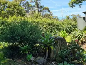 Cottage for Two, Marlo