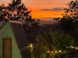 Dứa Homestay