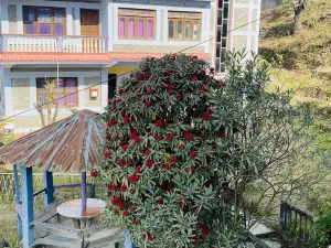 帕提瓦拉塔佩朱恩酒店