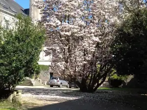 로지스 호텔 류로페