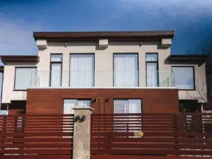 Casa Viilor