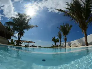 Dolphin Beach Resort - Kalpitiya