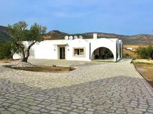 Villa in the Hammamet Mountain.