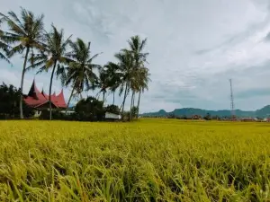 Rumah Gadang Tokama, Simarasok