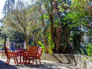 Katberg Mountain Resort & Hotel