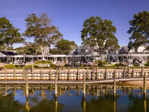 Aqua by American Beech - Adults Only