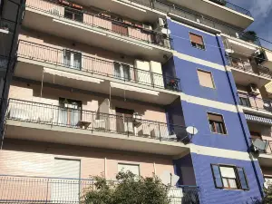 ブーゲンビリア ルレ