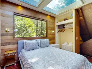 Redwood Grove