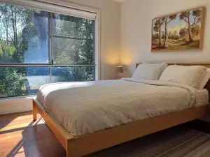 Rainforest retreat near Canyon Lookout & trails, mins to Springbrook wonders