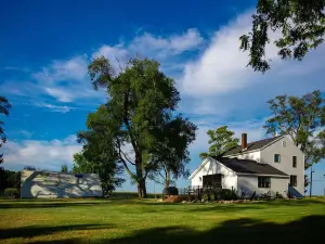 Mabel and Harry's, a modern country guest house