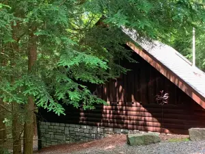 Adventurer's  Lodge, a charming 3-bedroom cabin with WiFi in quiet Lansing, WV.