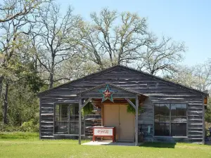 Night Bird Ranch