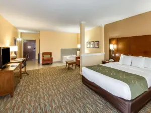 Comfort Suites Cotulla Near I-35