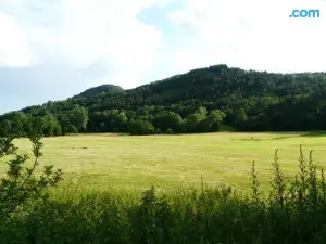 Chambres D Hotes Chateau D Arcis