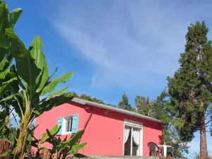 Au Coeur des Plantations