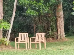 The Glade, Peace Among the Trees on the River