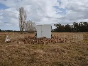 Organic Farm Stay by Tiny Away