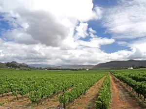 Montagu Springs Resort