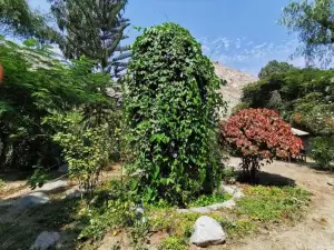 Villa Celestial