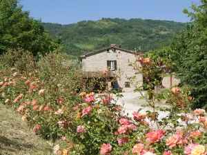 Agriturismo Corte Dei Mori