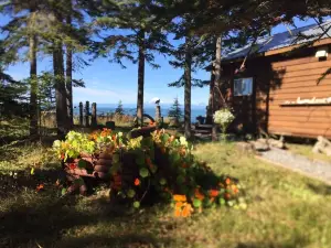 오션 블러프 B&B
