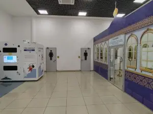 Kapsul'nyj RecoRoom Sonnik ajeroport Vladivostok Hotel