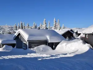 Skeikampen Booking