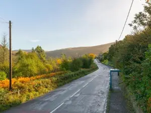 The Peak in Afan Forest Bike Park by StayStaycations