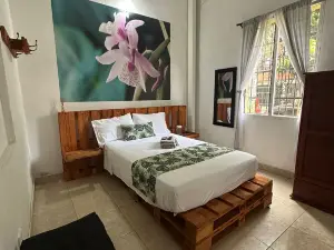 Hospedajes El Jardin