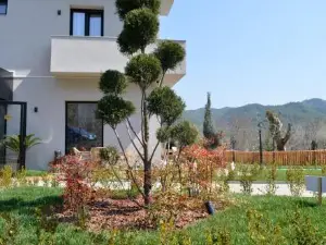 N'Peze Hotel