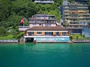 Seestern am See Mit Motorboot Ennetb Rgen