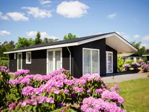 Modern chalet on the water in the Brabant Kempen