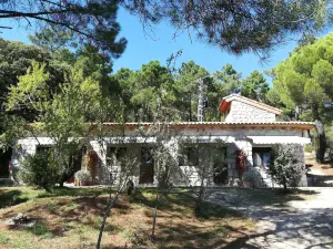 Huerto San Antonio