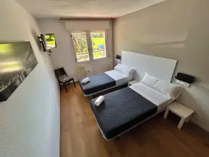 palmeras