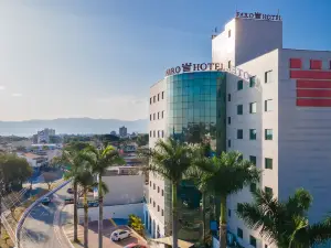 Faro Hotel Taubaté