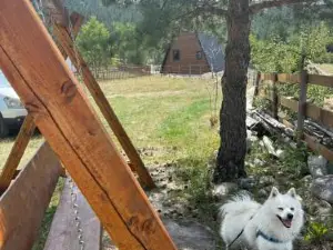 Cottage Angel
