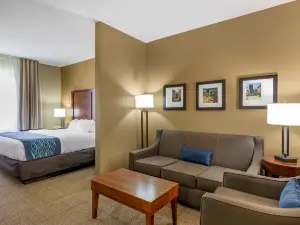 Comfort Inn & Suites Lynchburg Airport - University Area