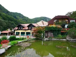 Guesthouse Villa Zelenjak Ventek