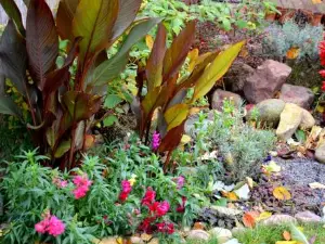 Apartments with Spa Jacuzzi and Sauna