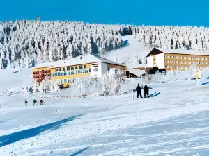 Panorama Hotel Oberwiesenthal